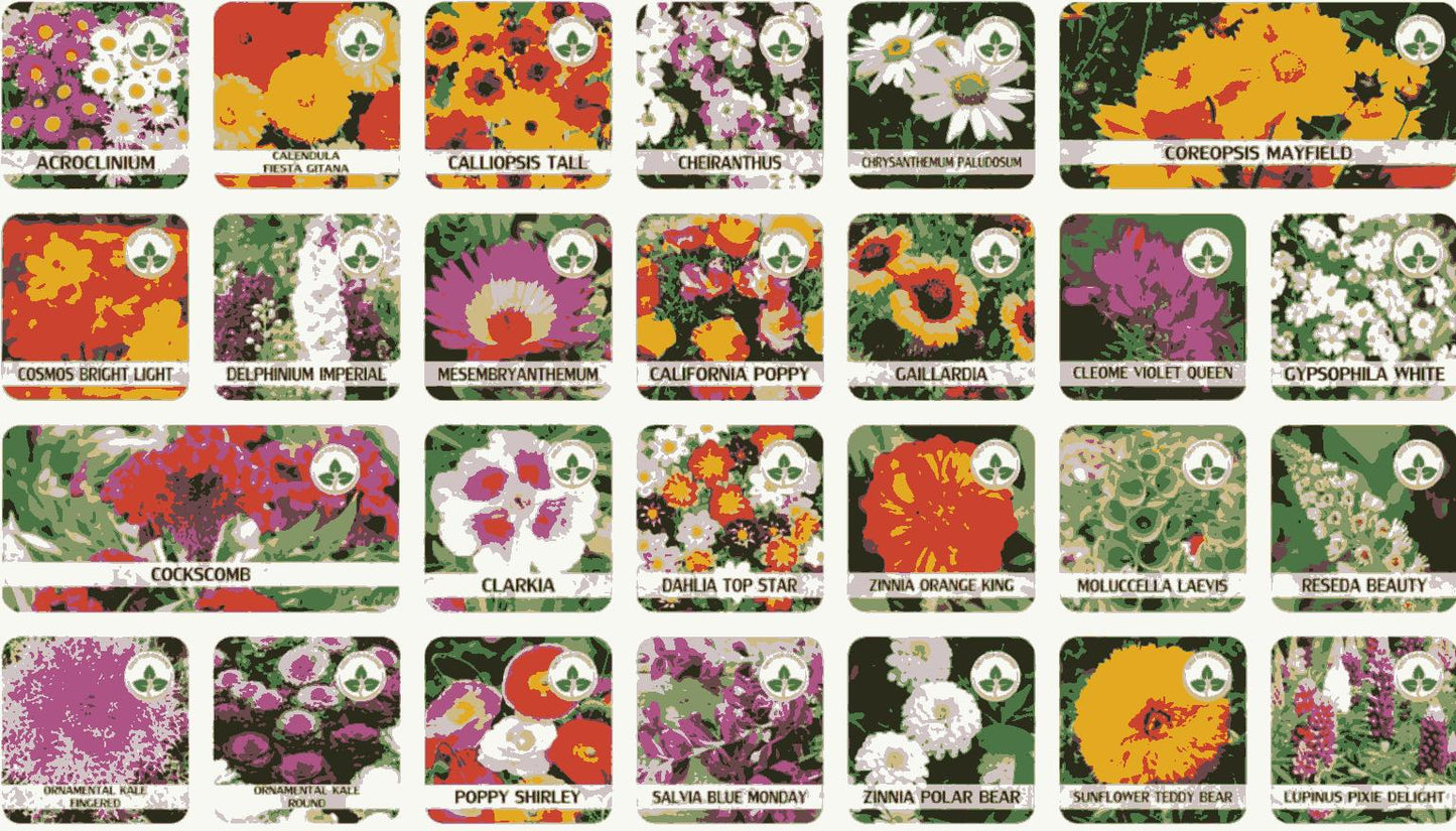 Multicolor Flower Seeds (Pack of 100) + Plant Growth Supplement Free