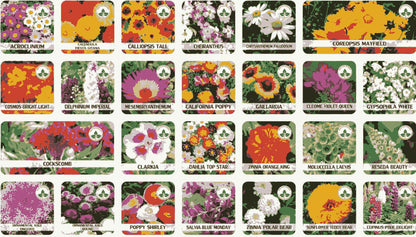 Multicolor Flower Seeds (Pack of 100) + Plant Growth Supplement Free