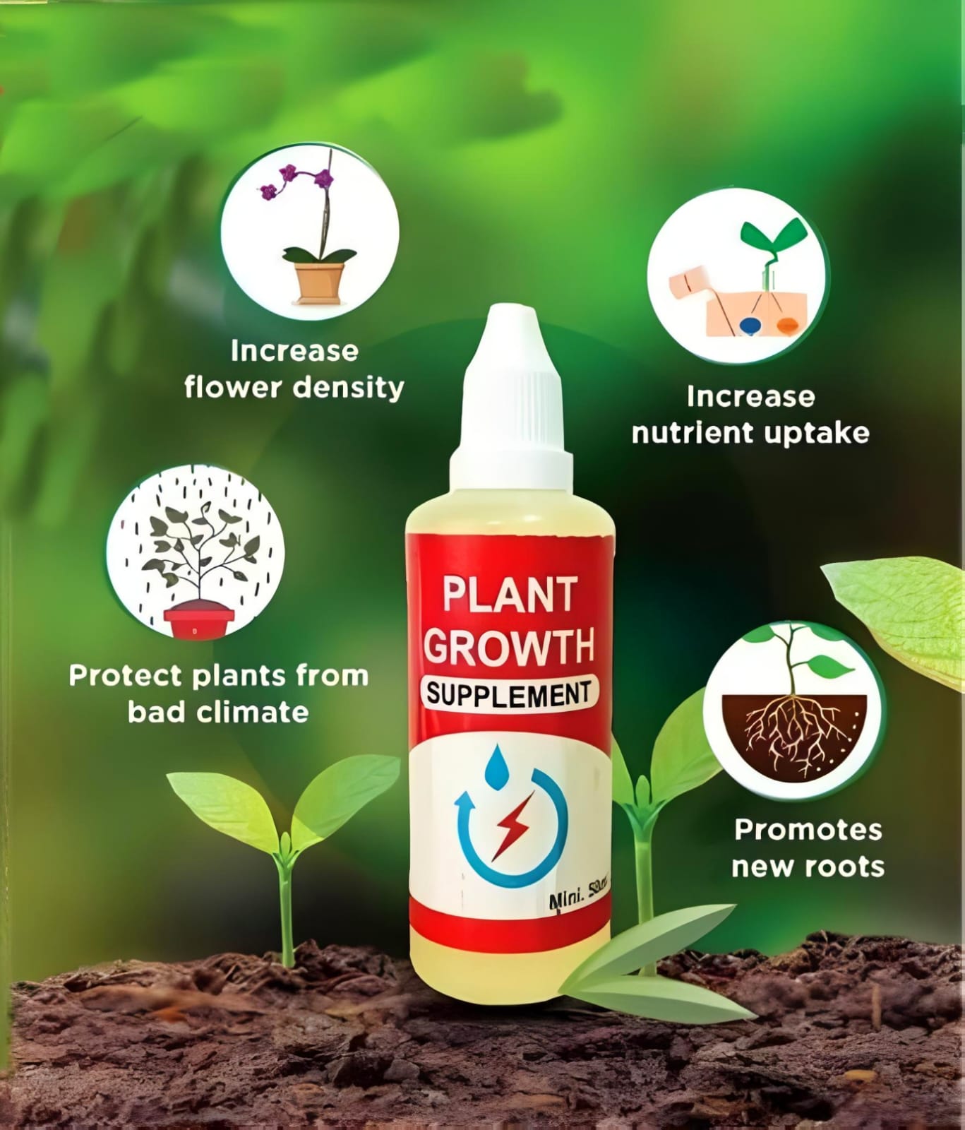 Multicolor Flower Seeds (Pack of 100) + Plant Growth Supplement Free